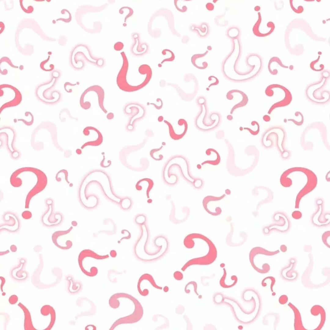 一只老豚鼠（易次元）