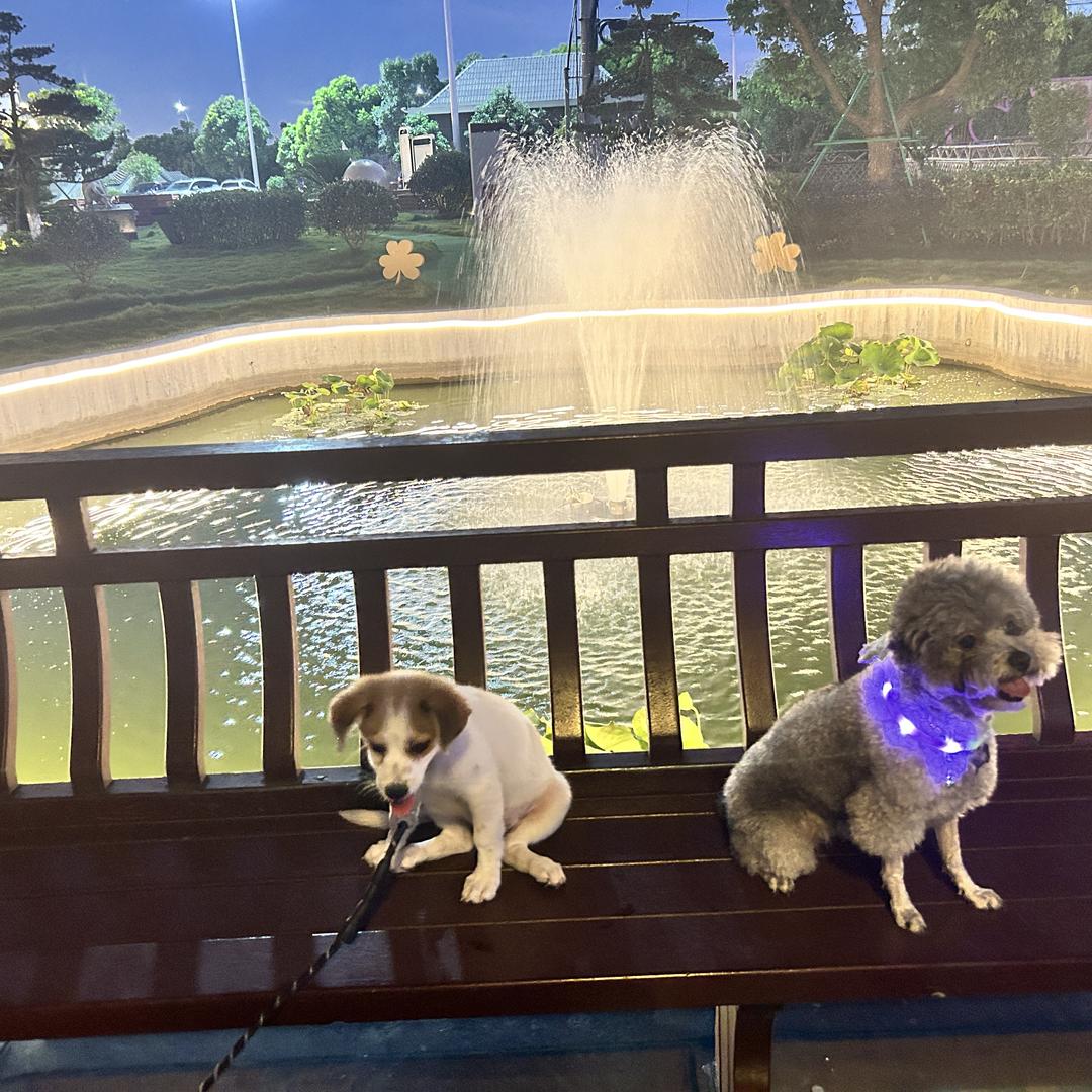 萌宠乐园隆旭蓝