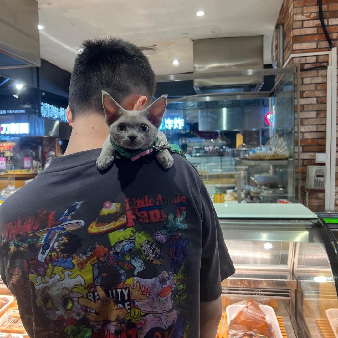 快乐的爆爆鸟