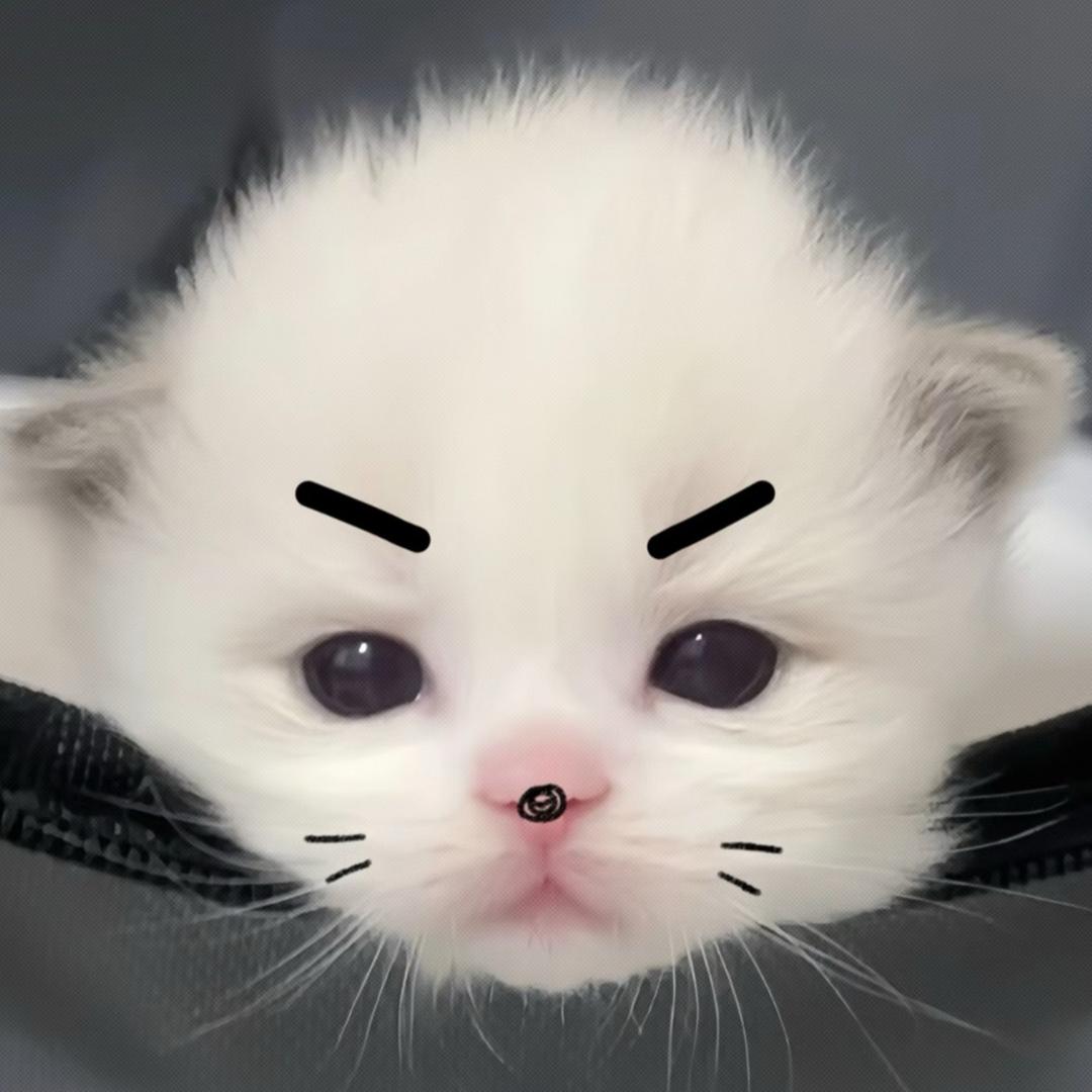 抽抽象象