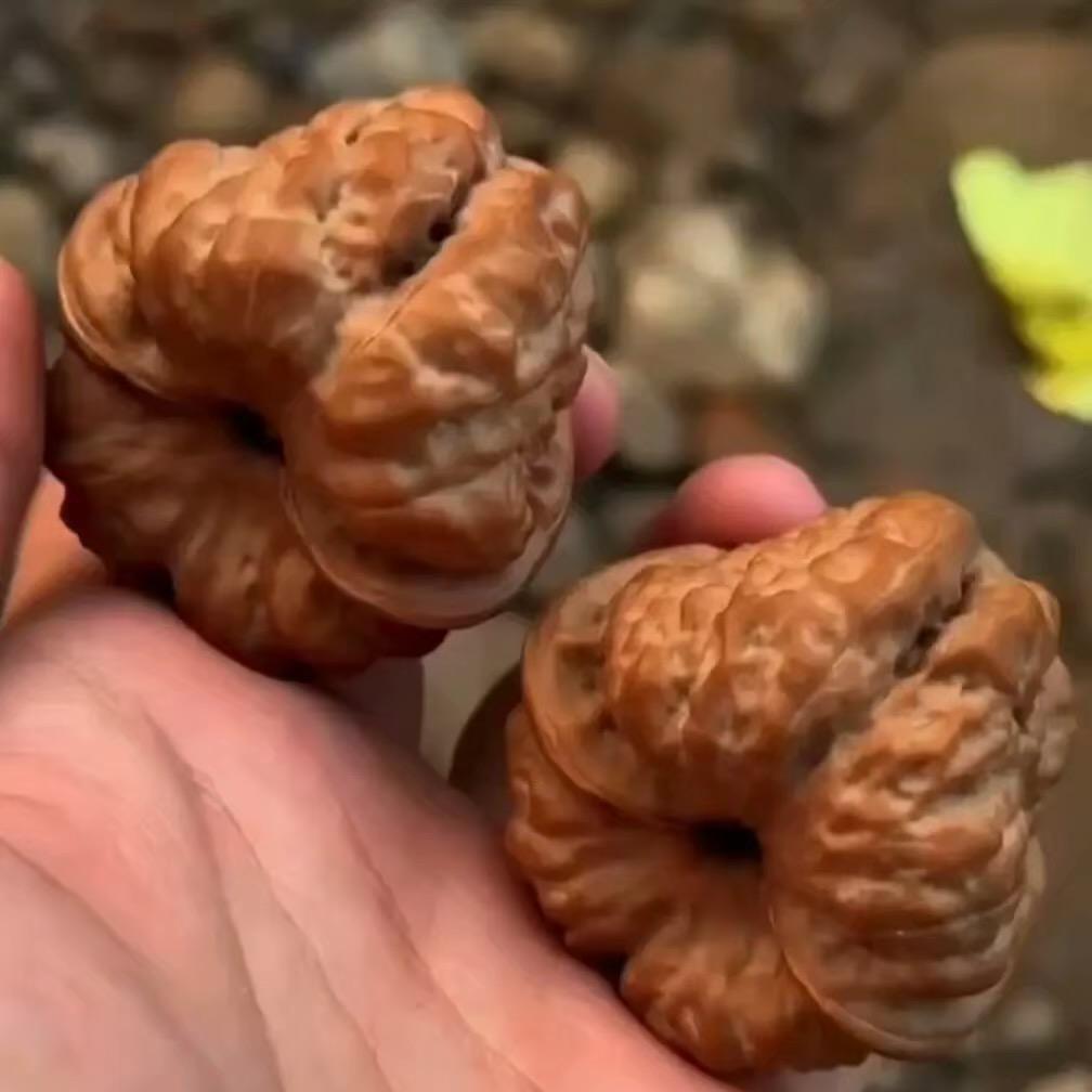 福诚家产麻核桃