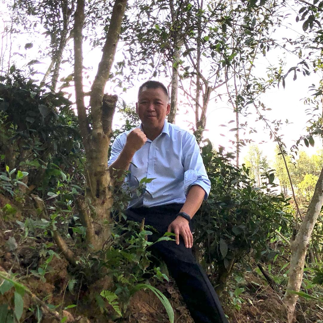 云南喜佳农茶叶