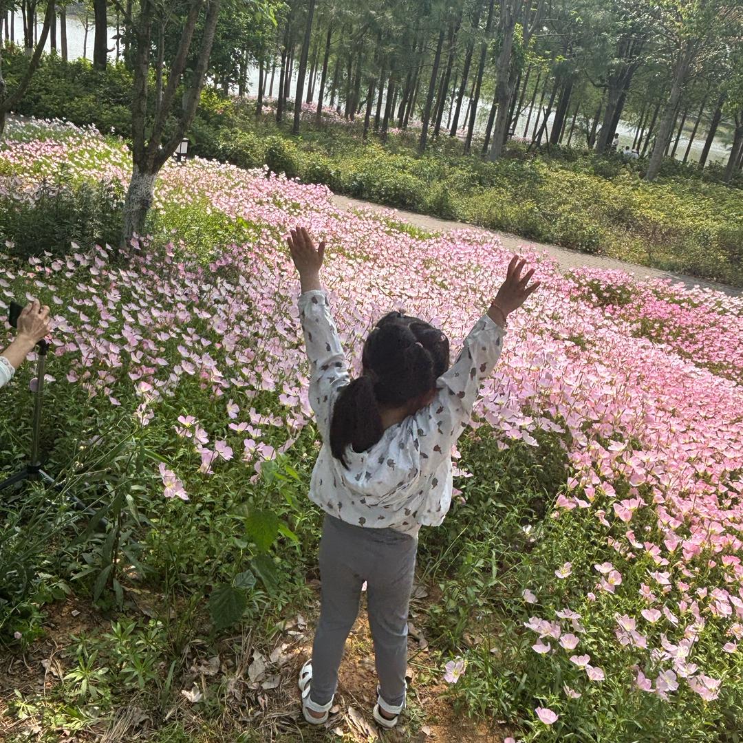 微微一笑很倾城