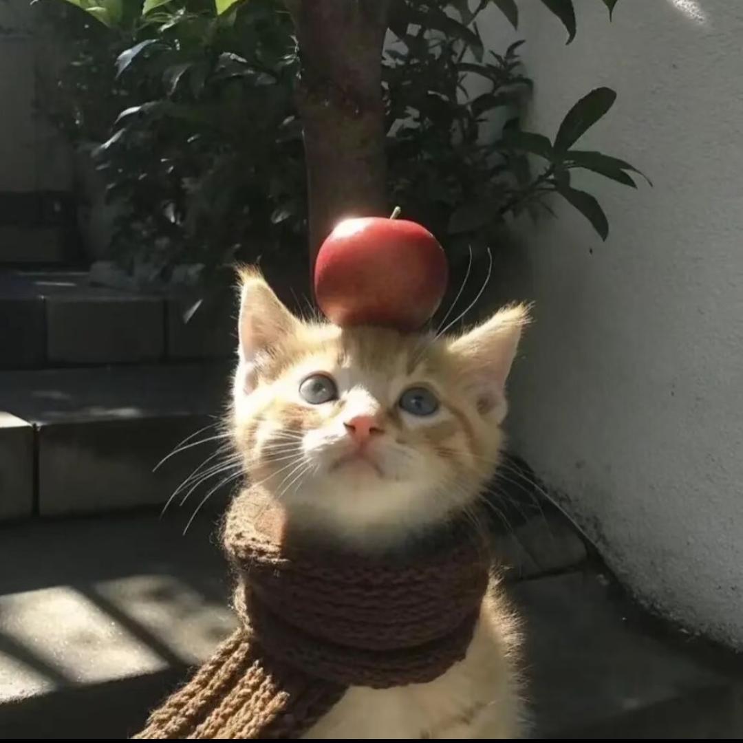一只瘦包子