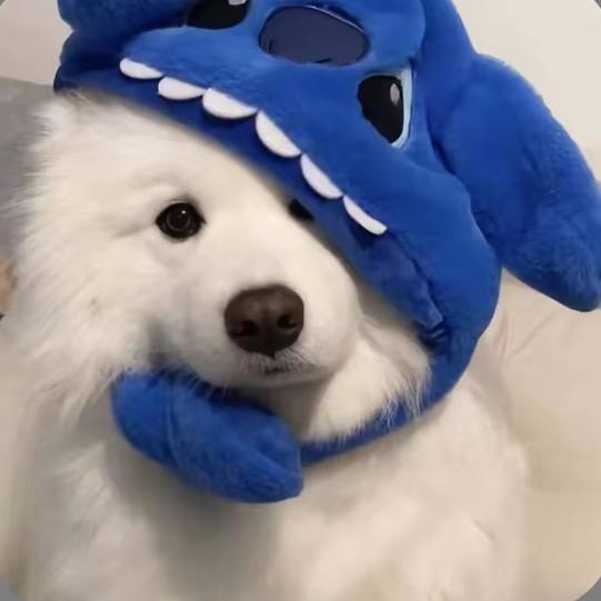 咿呀哟诶诶