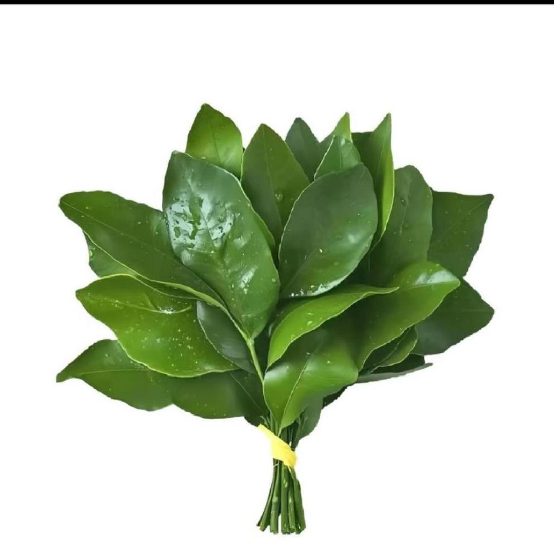 今天下小雨