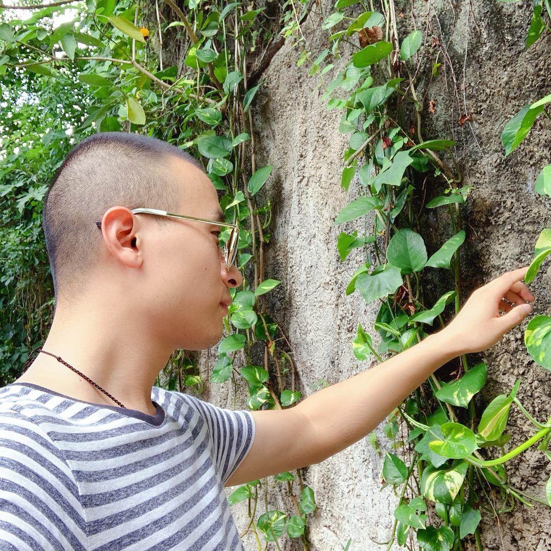 老三赏诗词