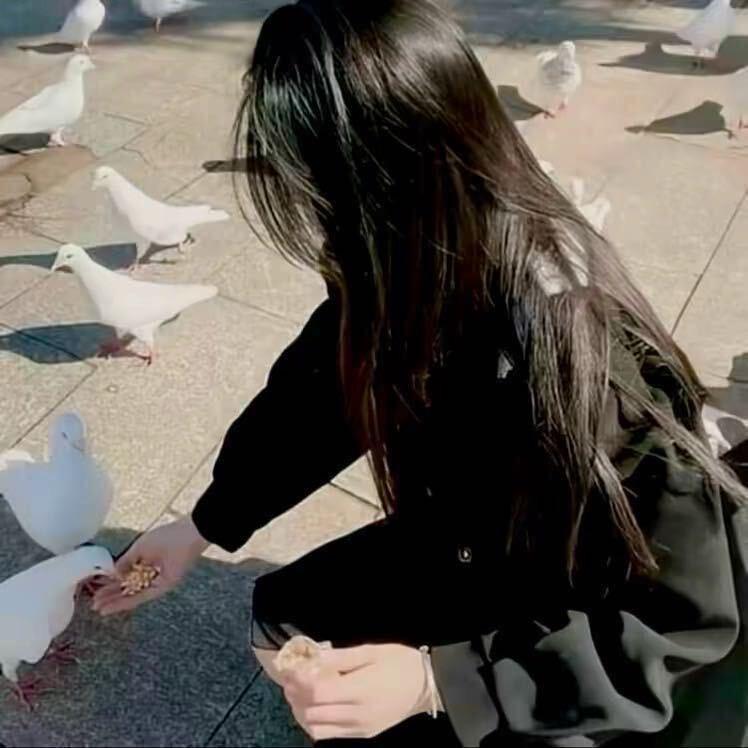 陈头像