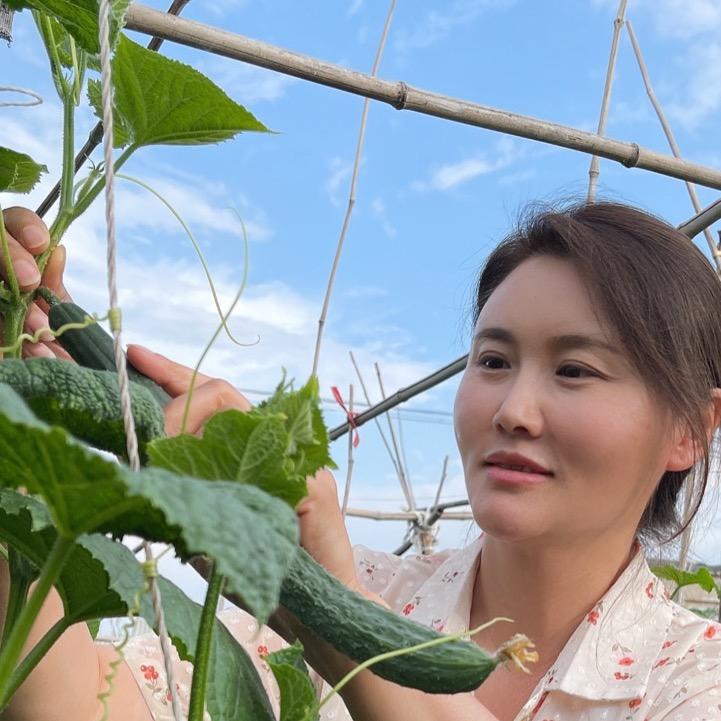 秀英姐（黑土地）