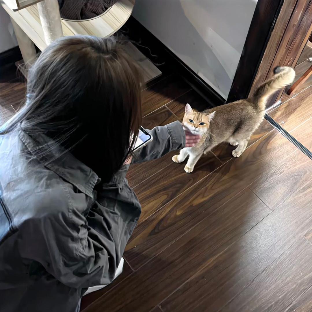 水（代号纯情