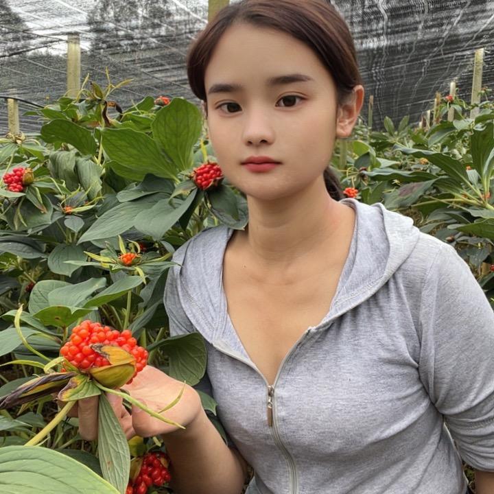 药材种苗～除草剂