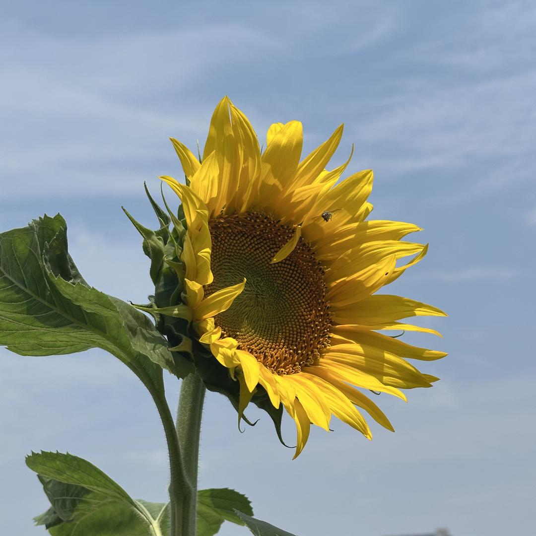 侠岚 护墙角护角条