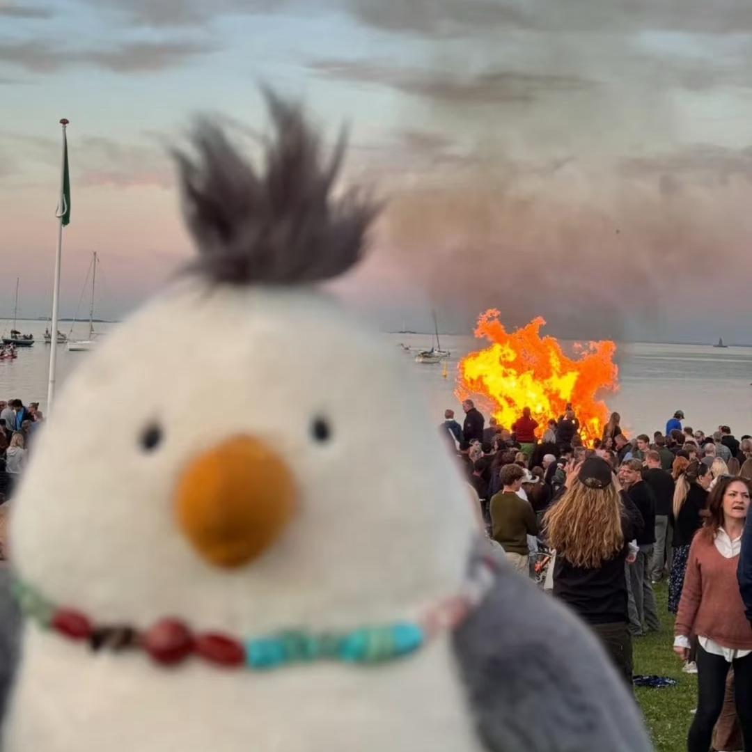 leader请不要视奸我🫰