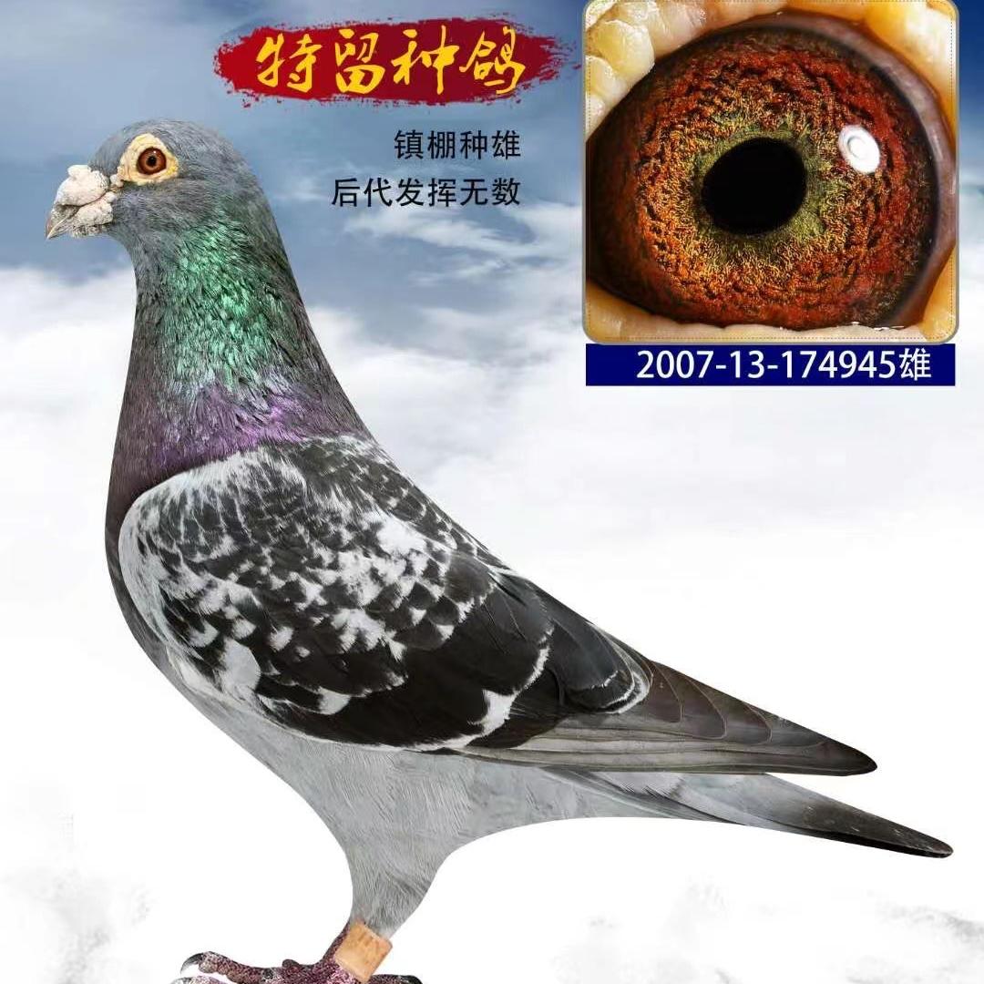 尛  烎   怣  覔