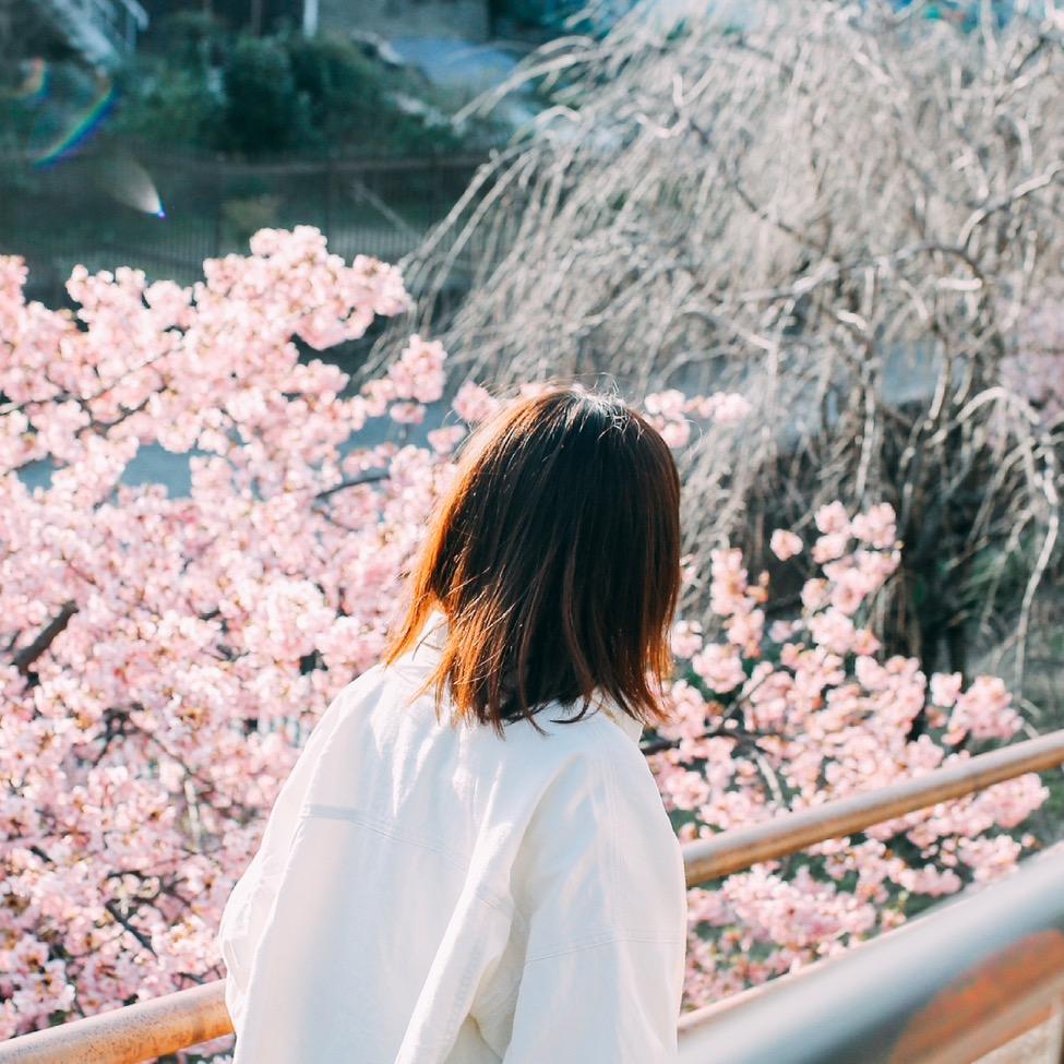 hikariharu