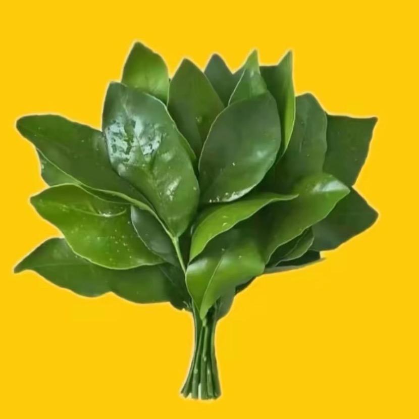 希望幸福