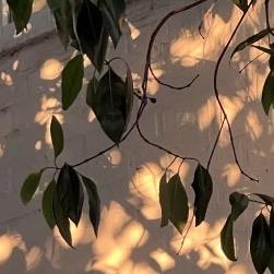 悦居的家