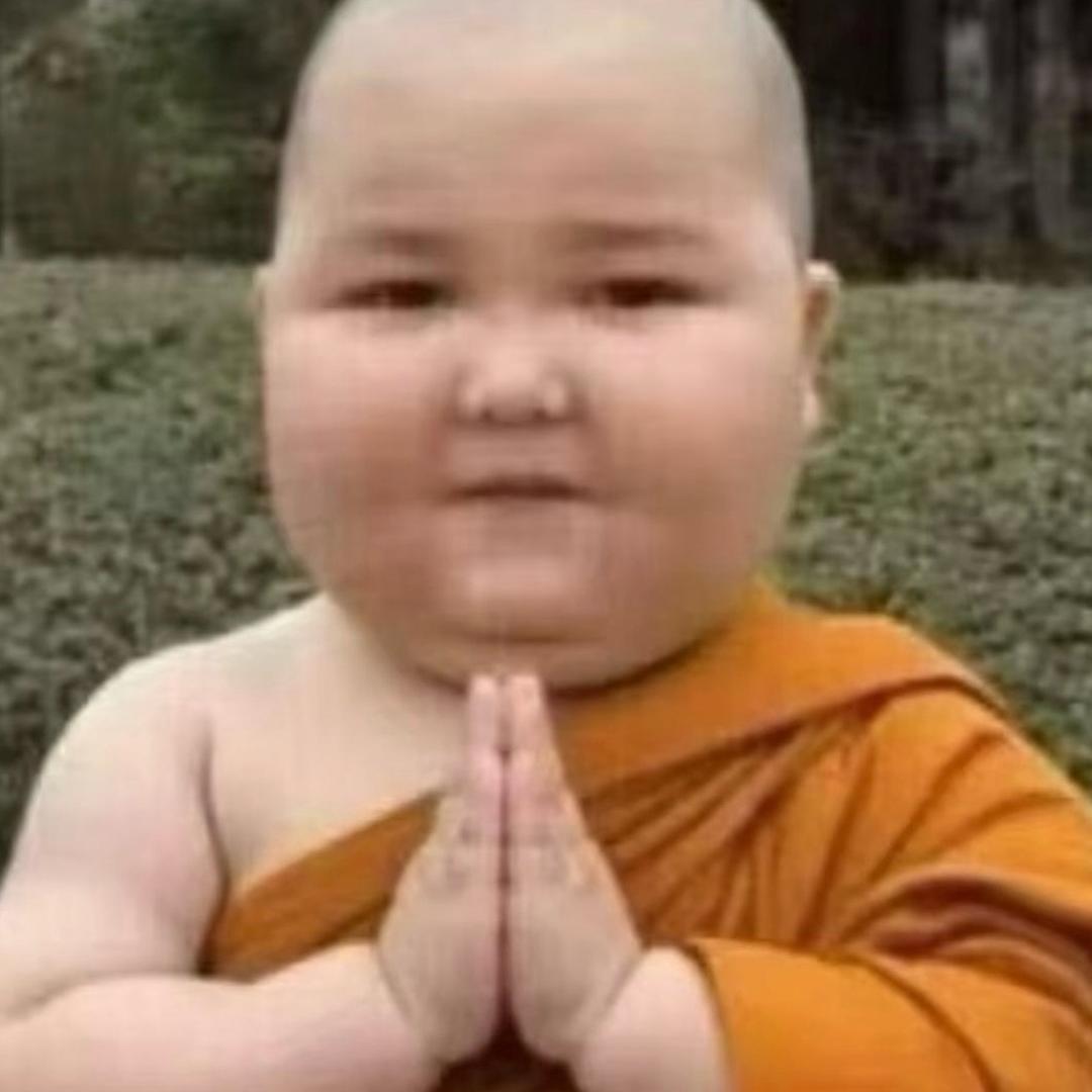 疯狂的母🐷