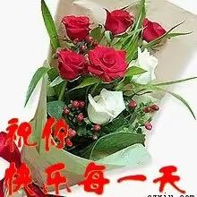 开心快乐每一天🌹