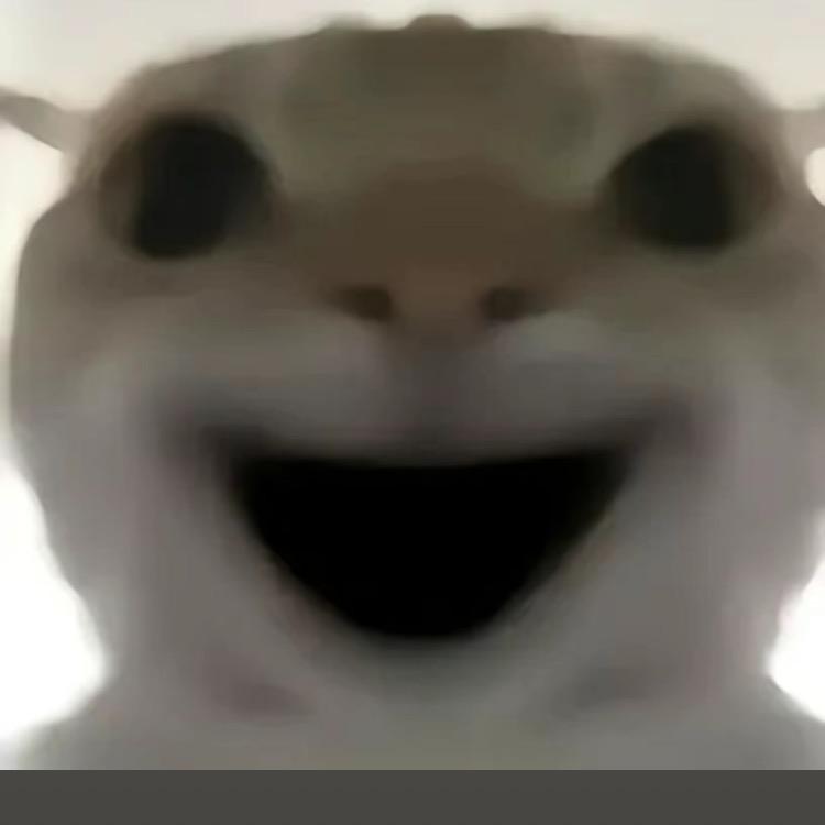 熊二