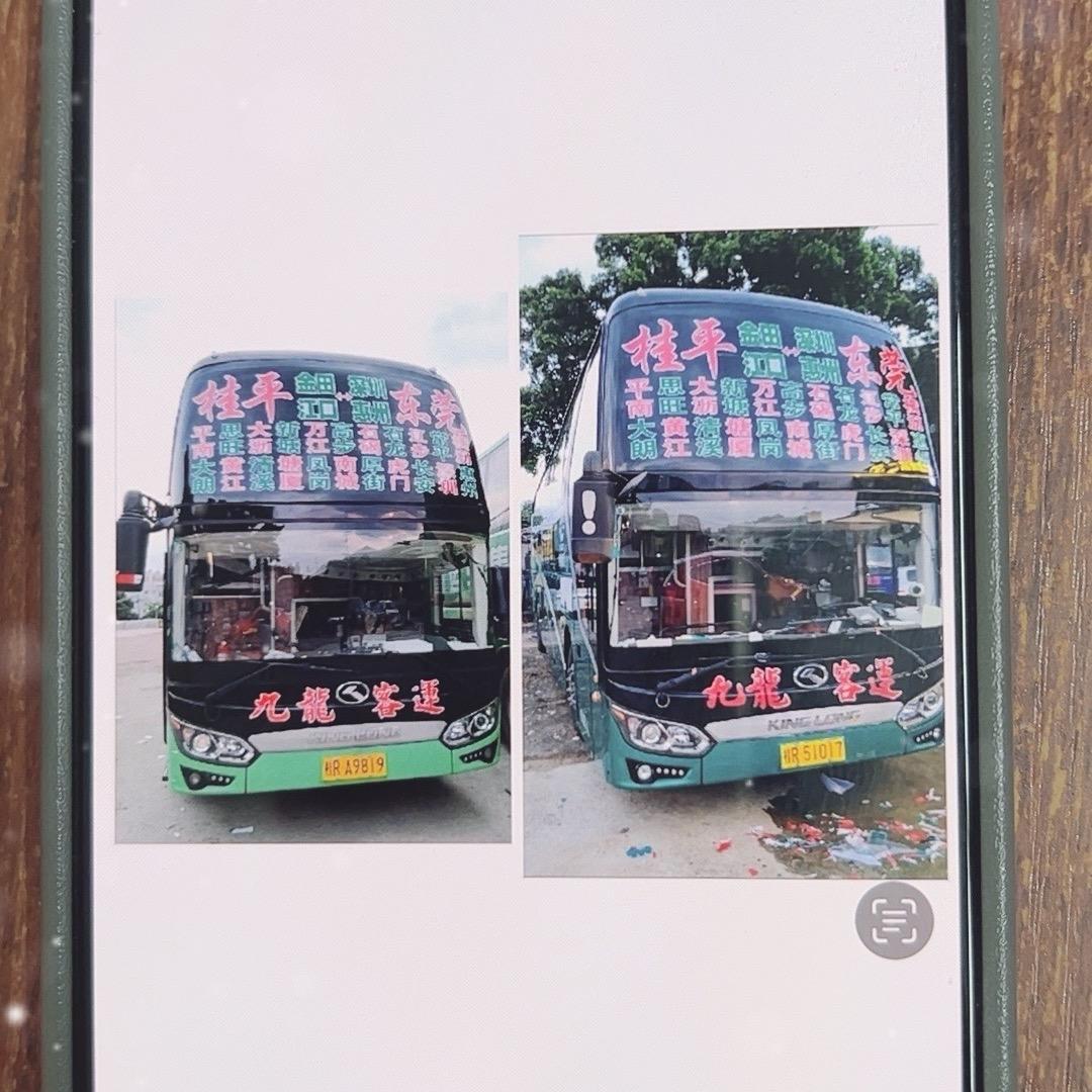 九龙荔乡客运号东莞深圳惠州
