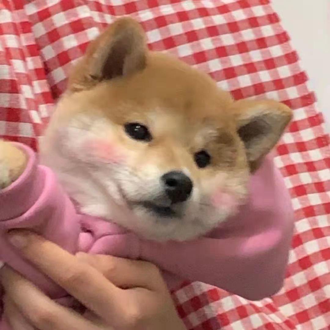 钾钙钠镁铝🧬