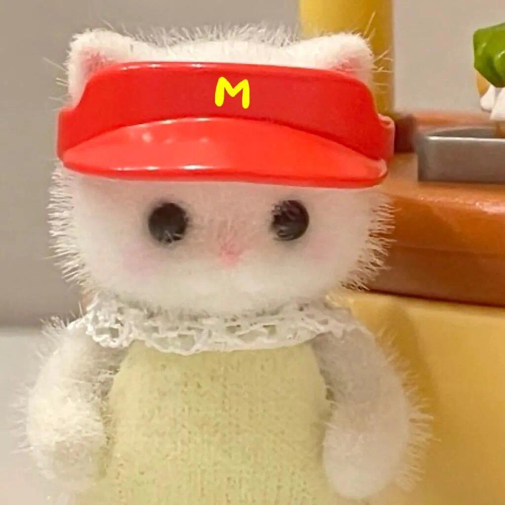 小猫存钱日记