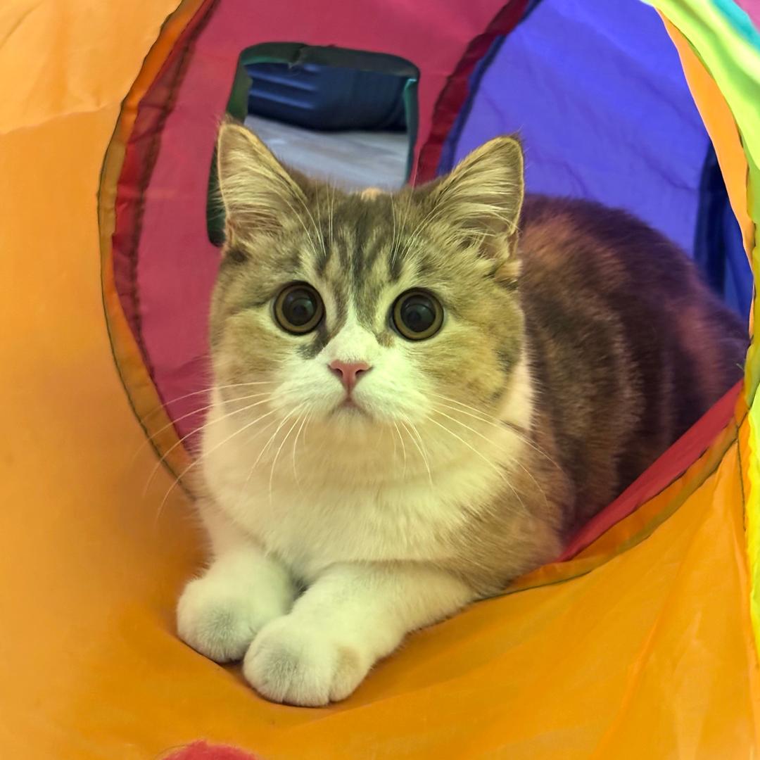 千千                .