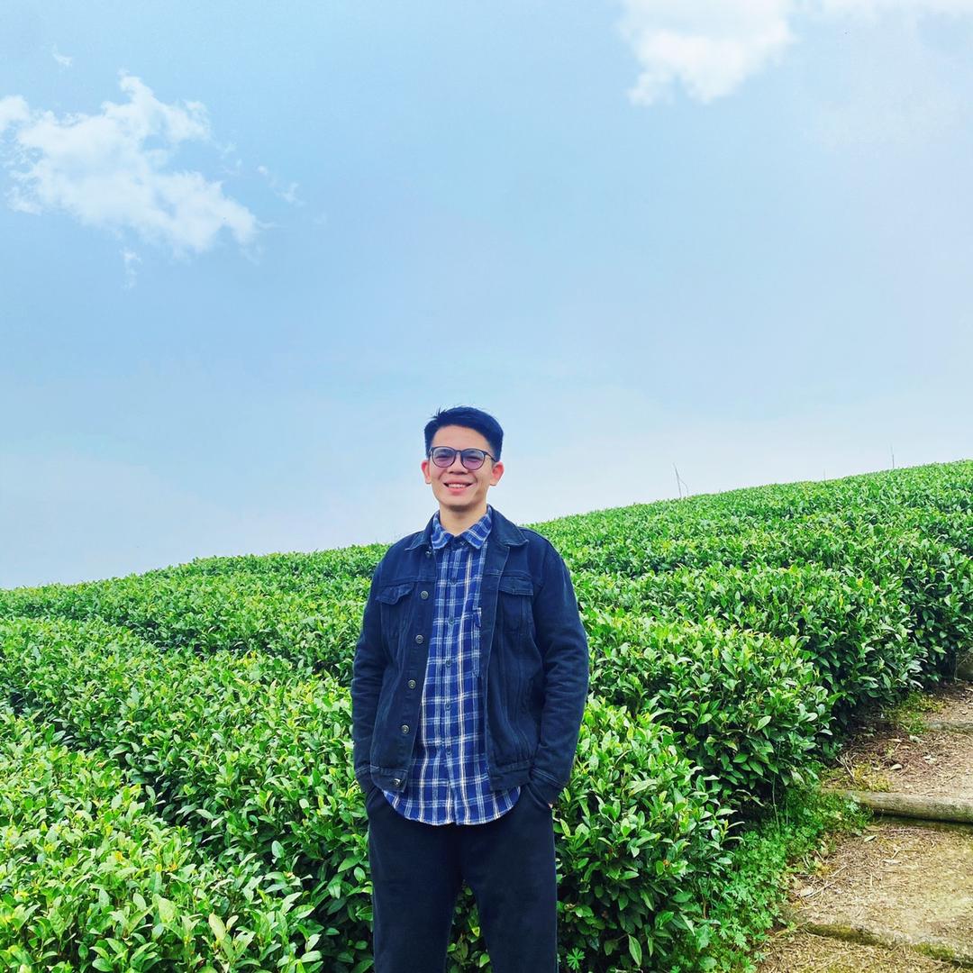 汇苠茶叶