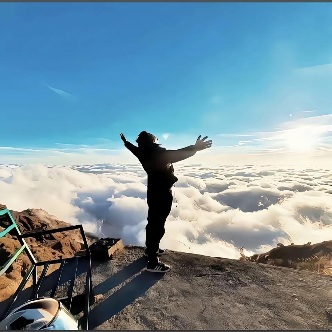 💰日进斗金💰