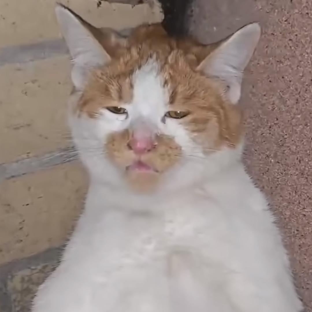 -寒悔