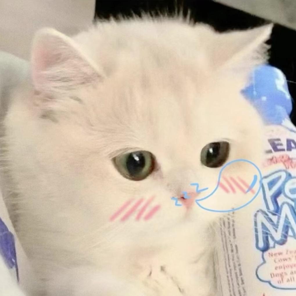 二花是只小猪咪