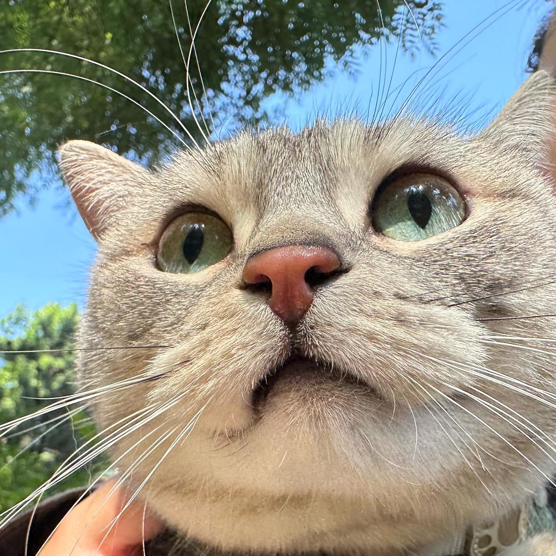 火花不续了烦了