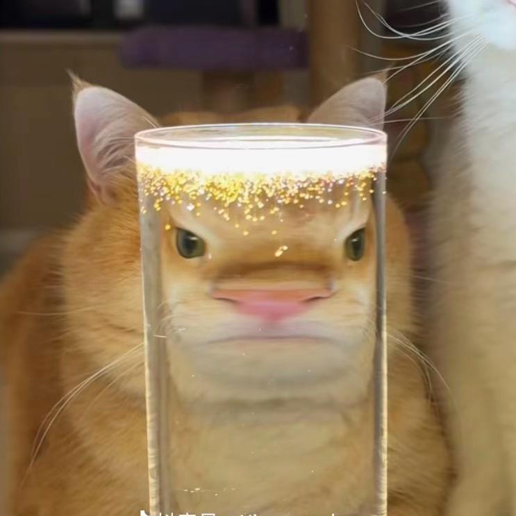 熊猫皮肤管理关欣