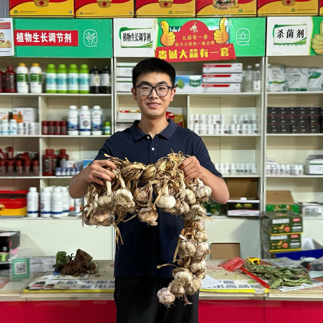 小朱带你看大蒜