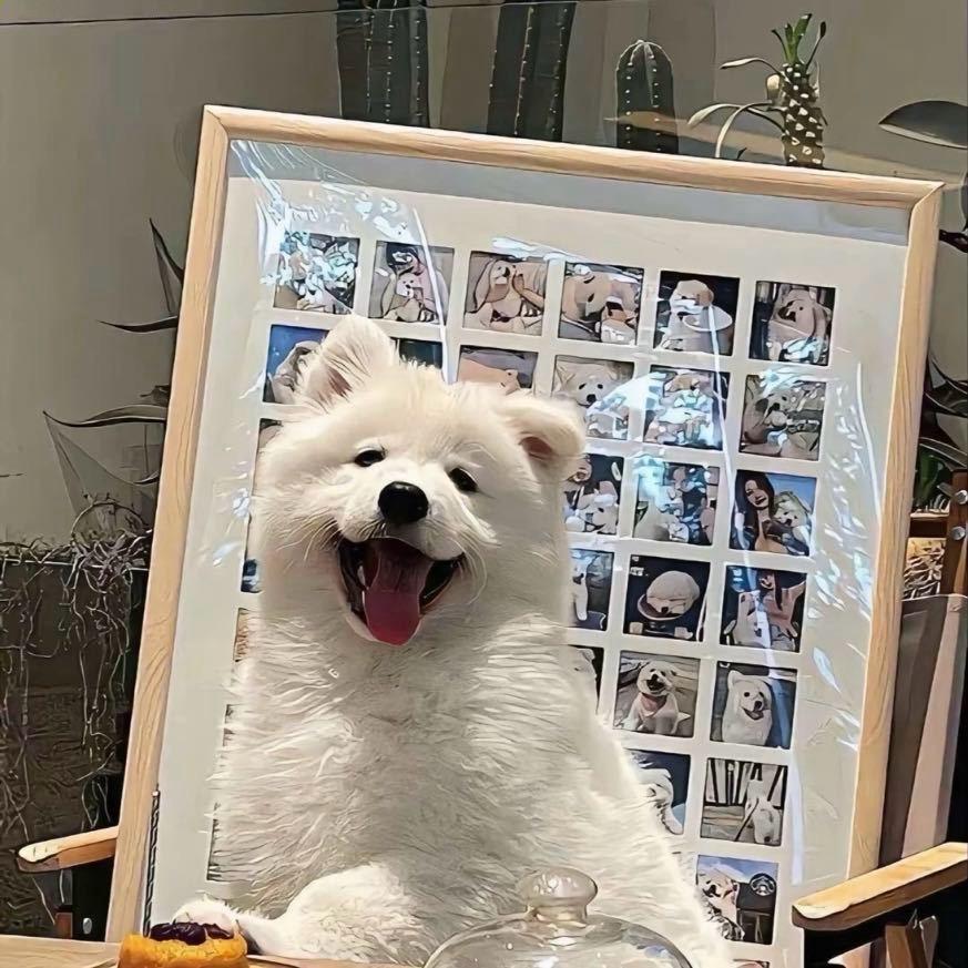 暴龙战士.