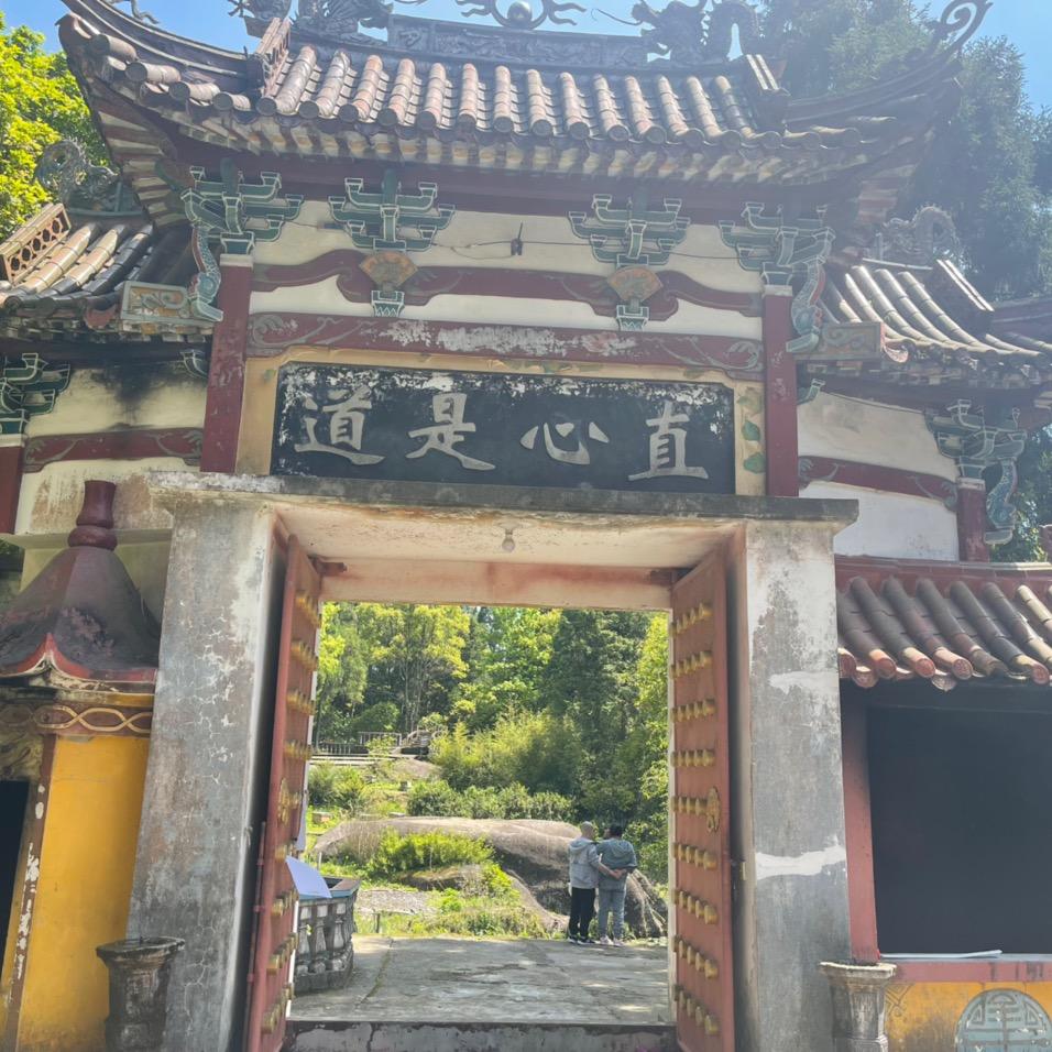 干中学⚡
