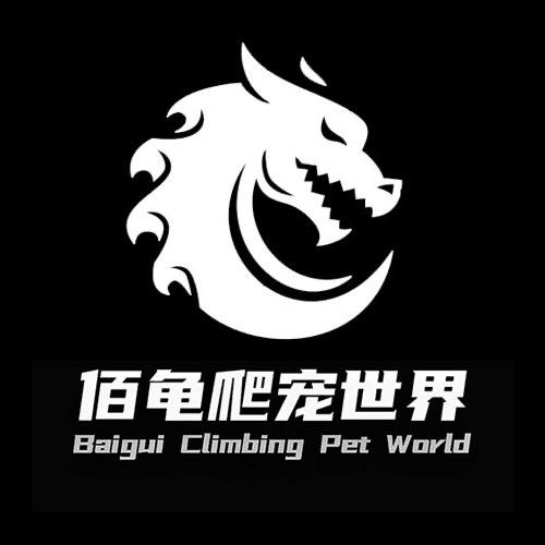 佰龟爬宠世界