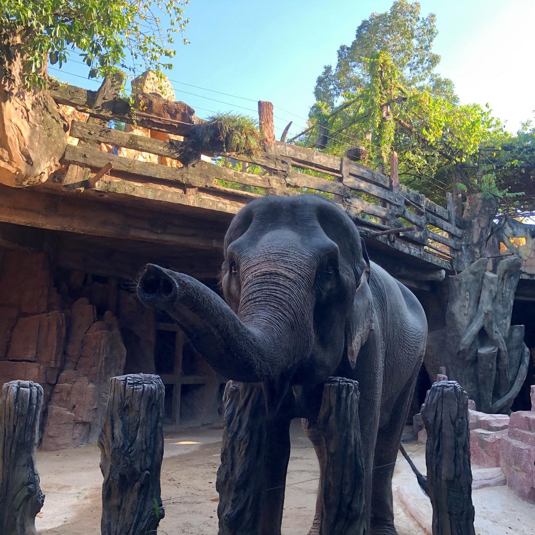 三好学生🙋🏻‍♂️