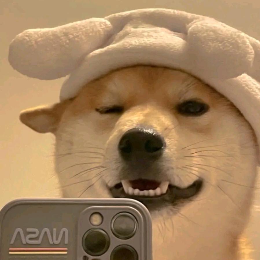 宏涛