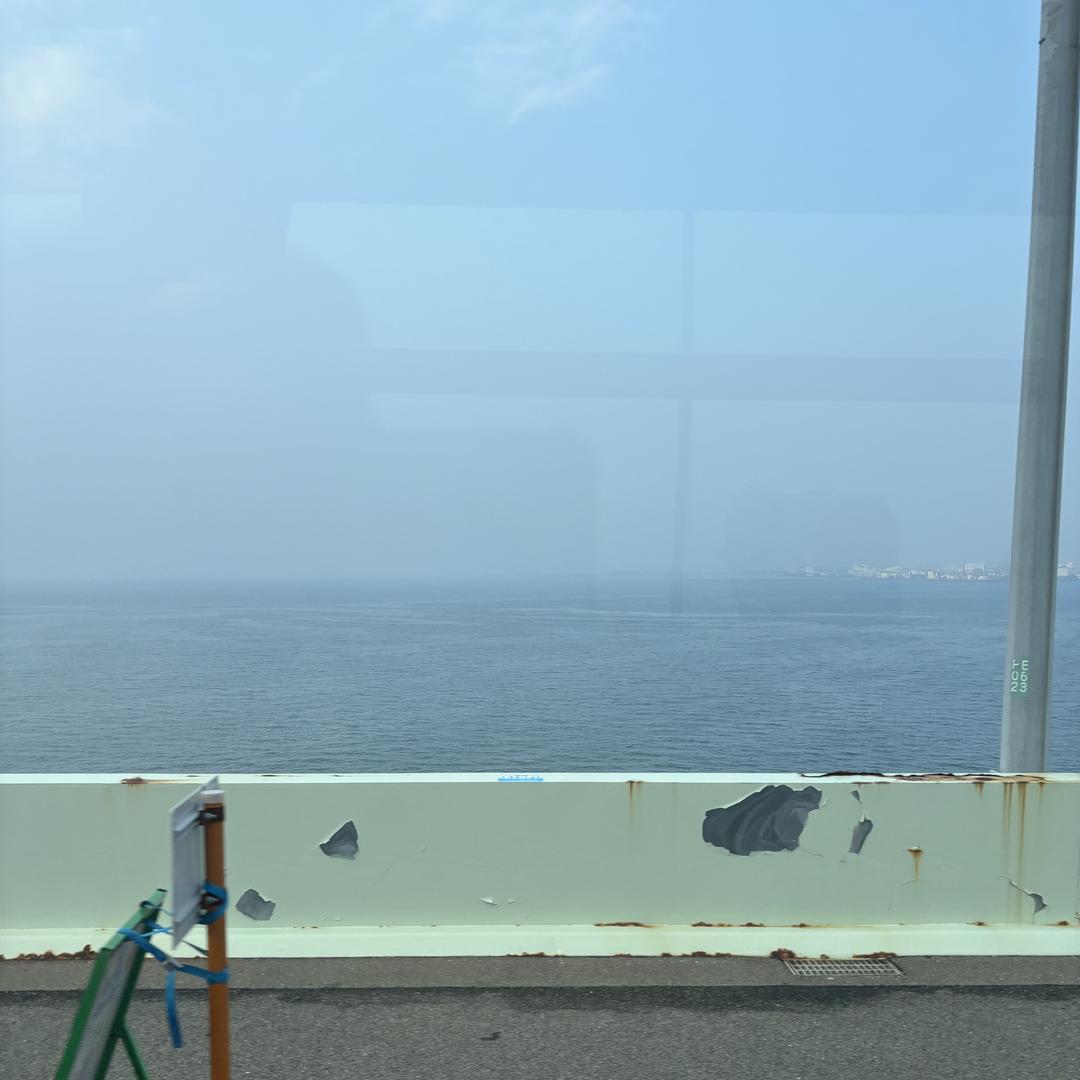 阿呆鉴宝