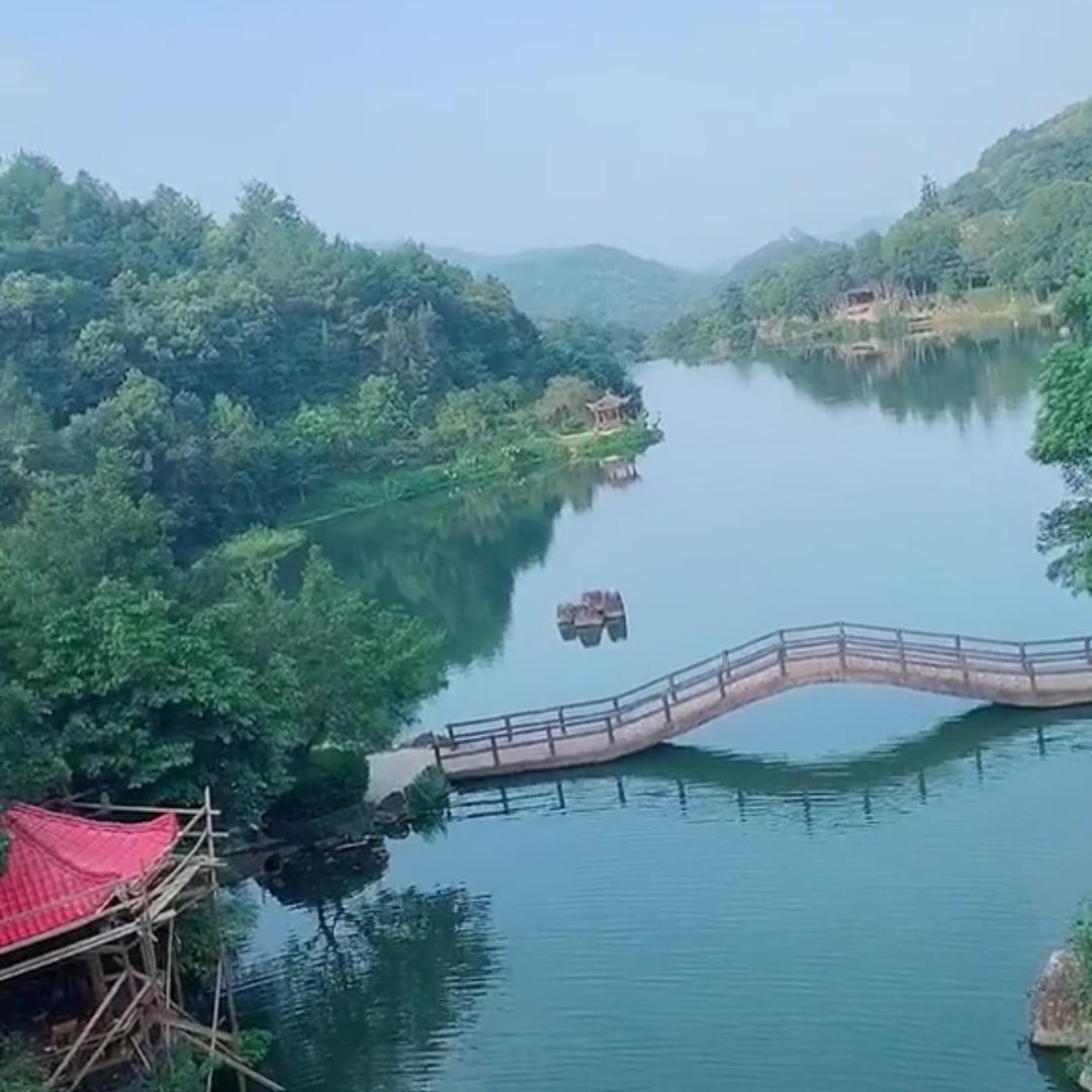 一梳黑(好物在橱窗)