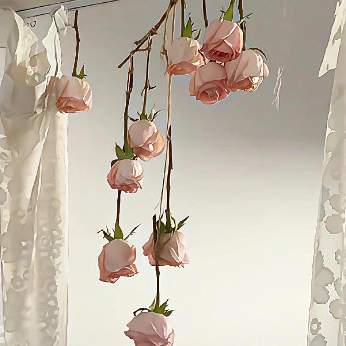 玲华艺甲官方号