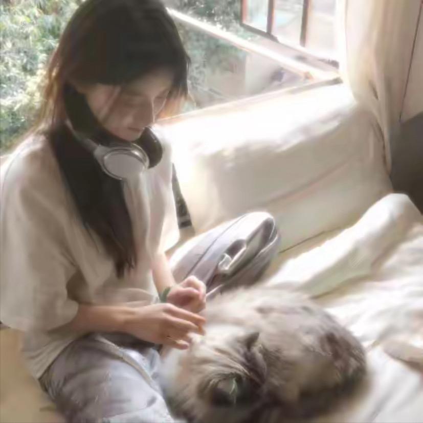 晚风 ㅤ