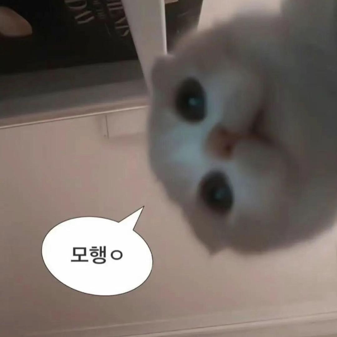 不要逗我笑我在敷面膜