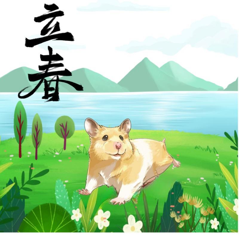 立春宠物用品生活馆