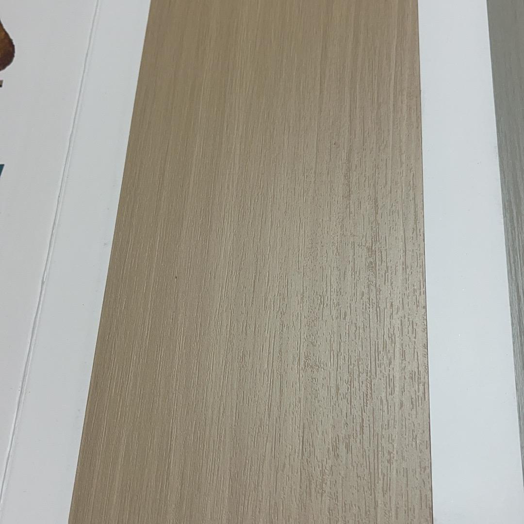 不会飞的小鸟
