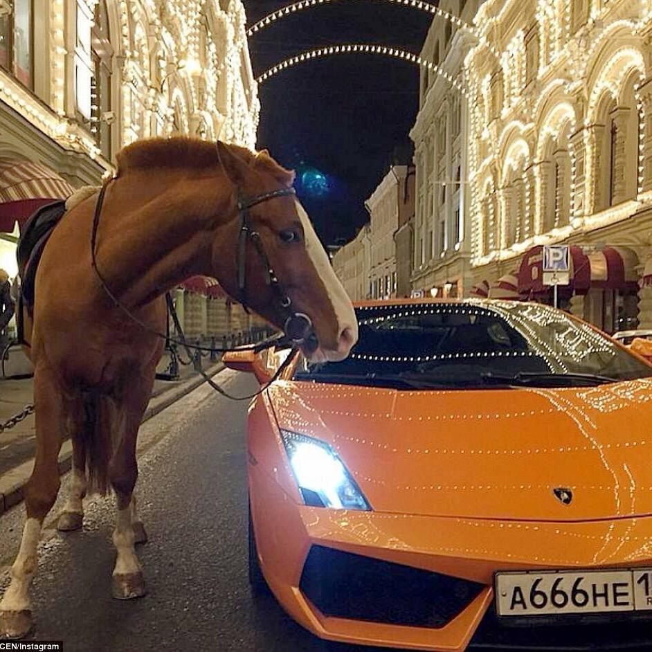 阿豪潮牌主理人