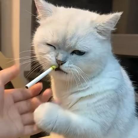 🌈小林🌈🌈🌈