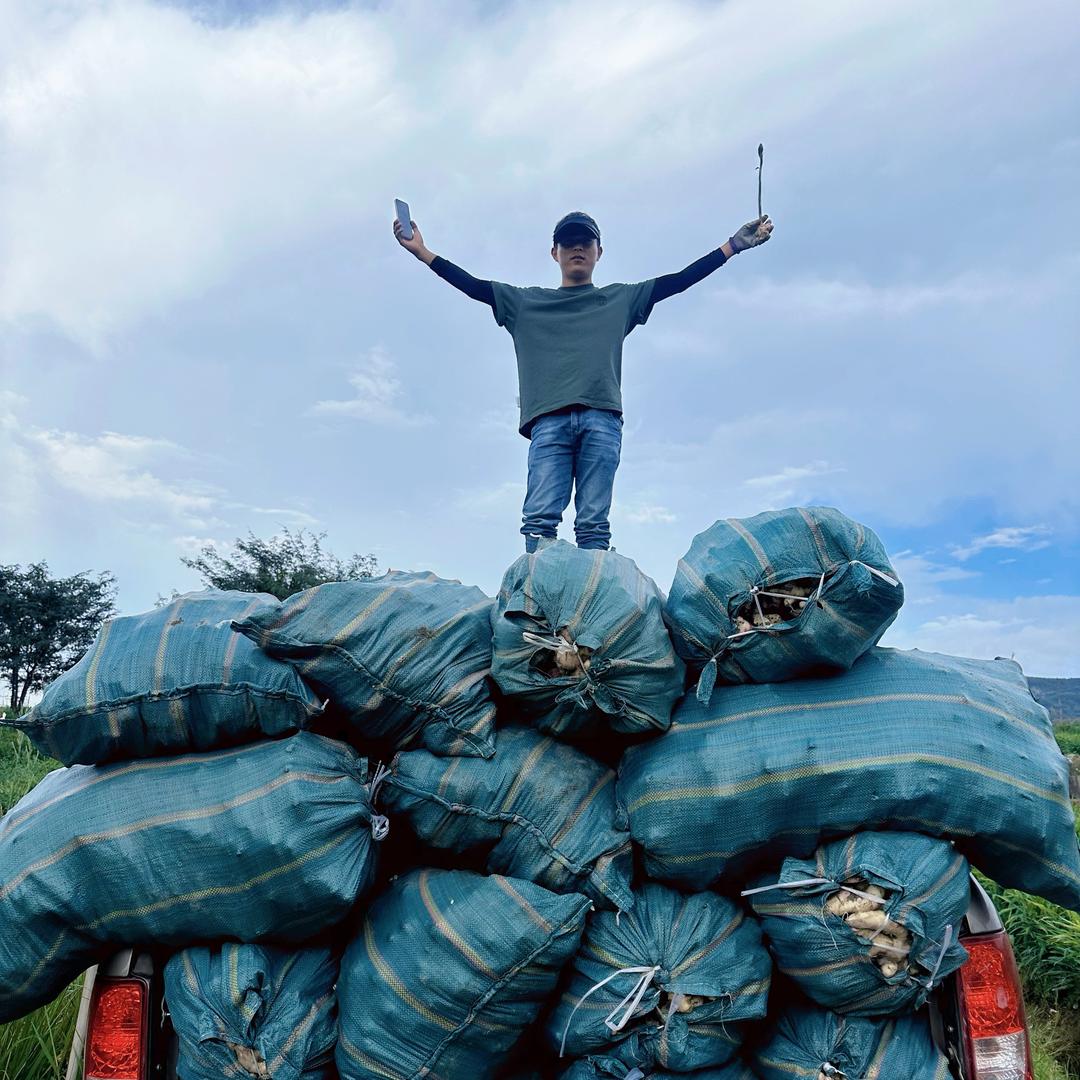 德宏生姜「阿盖」